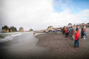 Quileute celebrate gray whales Friday in La Push