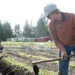 PHOTOS: Chimacum farm prepares for market season