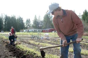 PHOTOS: Chimacum farm prepares for market season