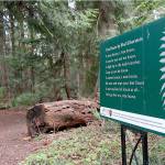 Poetry graces popular park trails