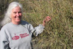 Master gardener to speak about ornamental grasses