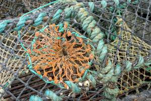 Photographers highlighted on Second Saturday Art Walk