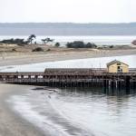 The pier of the Marine Science Center at Fort Worden State Park. (Steve Mullensky/for Peninsula Daily News)