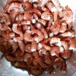 OUTDOORS: Shrimp season opens May 11