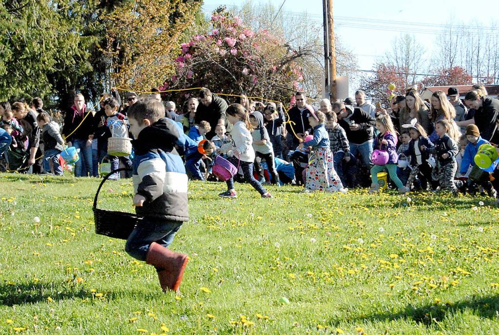 Youngsters take off at the start of Saturdays 41st annual KONP Easter Egg Hunt at the Clallam County Fairgrounds in Port Angeles. Hundreds of children set out in search of thousands of plastic eggs in an event that also included a prize drawing for registered youngsters. (Keith Thorpe/Peninsula Daily News)