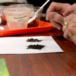 Each container of soil was labeled so workshop participants could shift through them and try to pick out differences. The composting class covered information about how to start a composting bin in your own backyard. (Brian McLean/Peninsula Daily News)