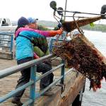 Keith Thorpe/Peninsula Daily News