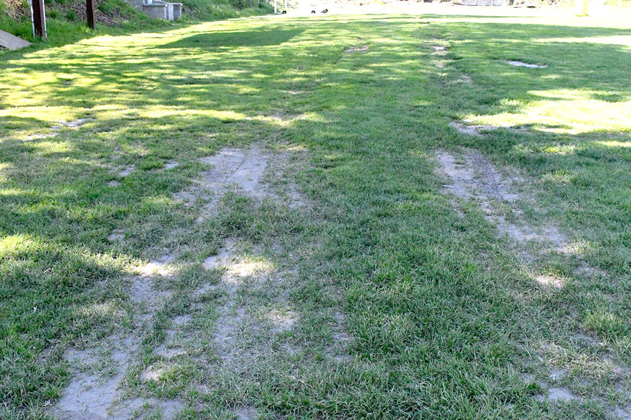 The south end of Memorial Field in Port Townsend suffered vehicle damage last week during a tree-removal project. This has raised concerns about the viability of the location for the Rhododendron Festivals Funtastic carnival. (Jeannie McMacken/Peninsula Daily News)