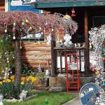 Pat Rodockers yard at 215 W. Sixth St. in Port Angeles is decorated seasonally with help from her son, Michael. (Iris Heston)