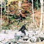 Sasquatch researchers, adventurers to share experiences at Rainshadow Bigfoot Conference