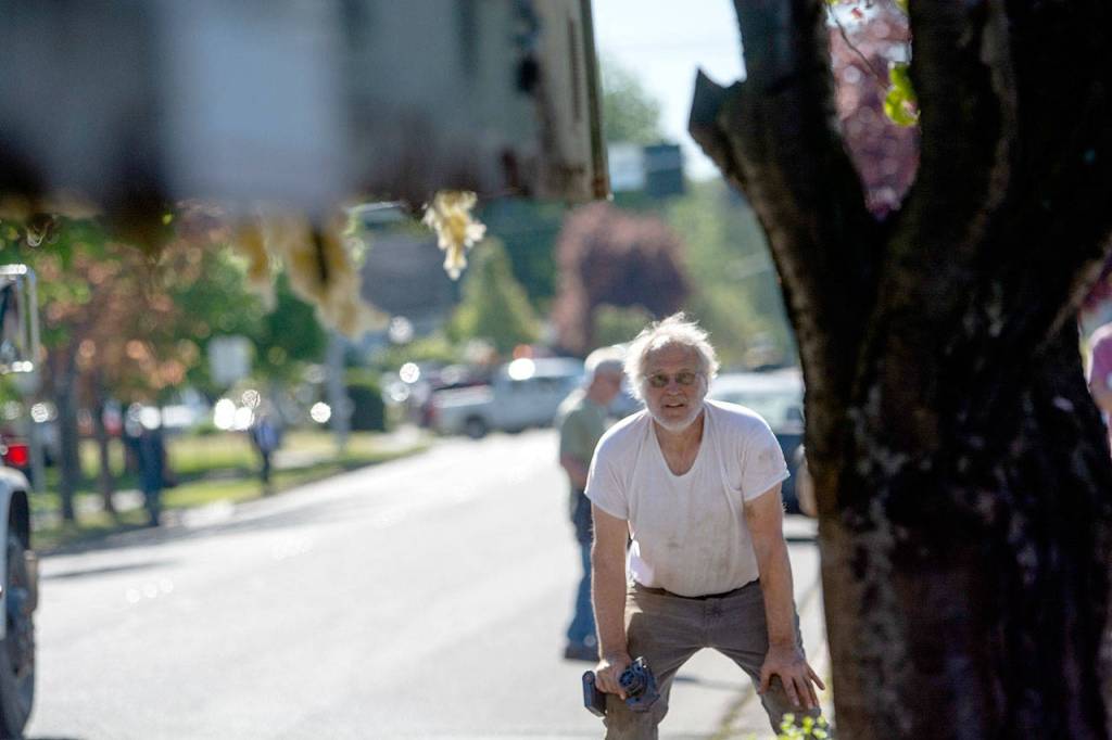 Jeff Monroe watches closely as the Horizon Center passes a cherry tree on East Fifth Street on Thursday. (Jesse Major/Peninsula Daily News)