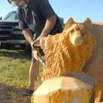 Chainsaw carver Donald Benson of Tumwater sculpts a wolf during a carving exhibition at the Irrigation Festival log show on Friday. (Keith Thorpe/Peninsula Daily News)