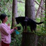 Dog dies after exposure to toxin at Anderson Lake