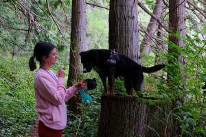 Dog dies after exposure to toxin at Anderson Lake