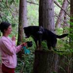 Yunue Moore is seen with her dog Clue at Anderson Lake State Park. (Teresa Moore)