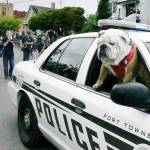 PT’s Rhody Fest culminates this weekend