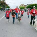 The Port Townsend Rhododendron Festival Pet Parade featured a variety of creatures Thursday. The Grand Parade begins at 1 p.m. Saturday. (Jeanne McMacken/Peninsula Daily News)