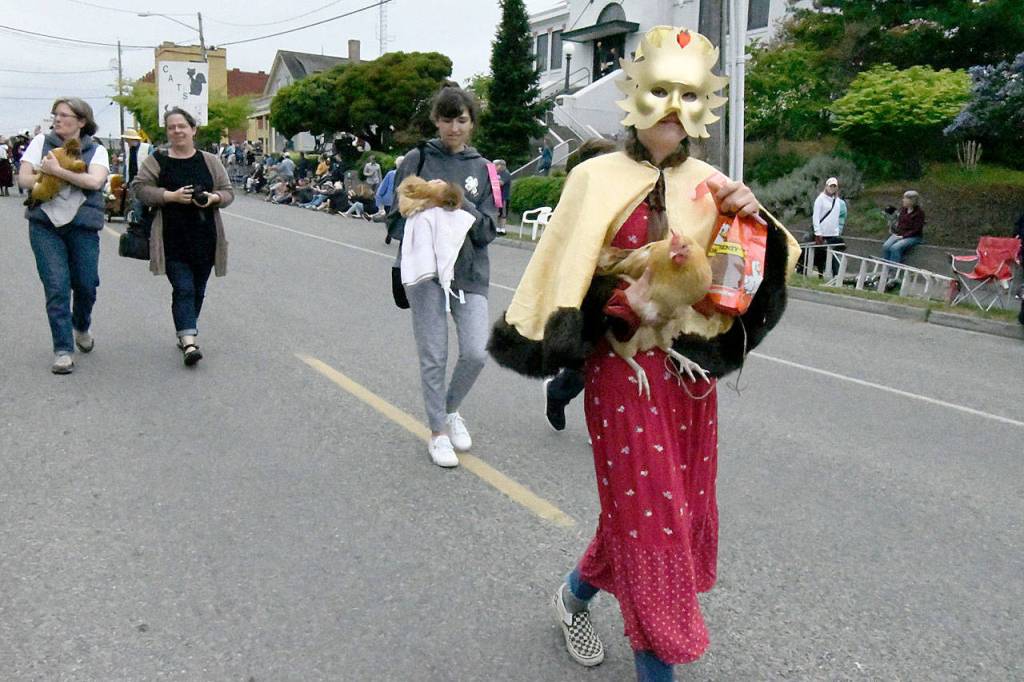 The Port Townsend Rhododendron Festival Pet Parade featured a variety of creatures Thursday. The Grand Parade begins at 1 p.m. Saturday. (Jeanne McMacken/Peninsula Daily News)