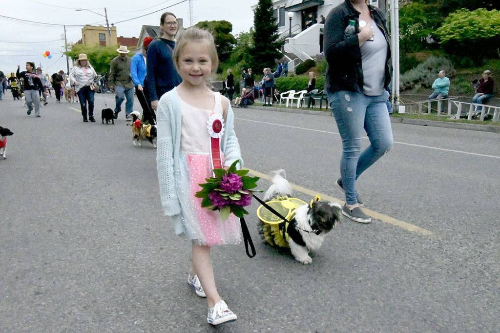 The Port Townsend Rhododendron Festival Pet Parade featured a variety of creatures Thursday. The Grand Parade begins at 1 p.m. Saturday. (Jeanne McMacken/Peninsula Daily News)
