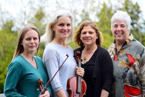 Benefit concert to feature classical, steel-pan music