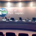 ‘Housing czar’ among suggestions offered at joint city/county meeting