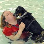 PHOTO: Dogs have their day at Port Angeles pool