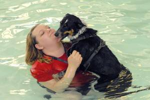 PHOTO: Dogs have their day at Port Angeles pool