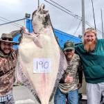 OUTDOORS: Port Angeles trio haul in huge halibut
