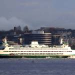 Ferry strikes, injures humpback whale near Seattle