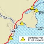 Fecal bacteria shuts down commercial shellfish beds