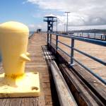 Improvements to Port Angeles City Pier, shown Thursday, could be included in the citys capital facilities plan. (Keith Thorpe/Peninsula Daily News)