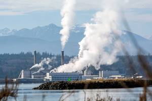 Port Townsend Paper Corporation settles with EPA for violation of Clean Air Act