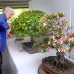 PHOTO: Growing art on display in Sequim