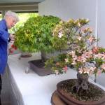 Keith Thorpe/Peninsula Daily News