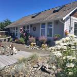 Some back yards included in the Jefferson County Master Gardener Secret Garden Tour on Saturday have a relaxed feel to them.