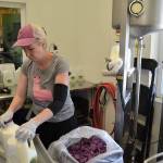 Dungeness Creamery cleared after E. coli found in third sample of raw milk