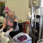 Rachel Moon with the Dungeness Valley Creamery bottles raw milk Monday. (Matthew Nash/Olympic Peninsula News Group)