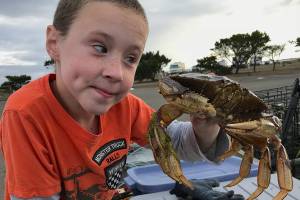 OUTDOORS: Hood Canal crabbing feeling the pinch