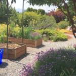 Annual Petals and Pathways tour set for Saturday