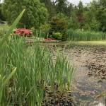 The yard of this Petals and Pathways garden borders a small body of water.