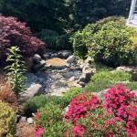 This garden, part of the Petals and Pathways Home Garden tour this weekend, includes a small pond.