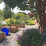 One of the gardens on the Petals and Pathways Home Garden tour this weekend will include boxed planting areas.