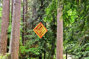 DIANE URBANI DE LA PAZ: A fresh variety of reporting