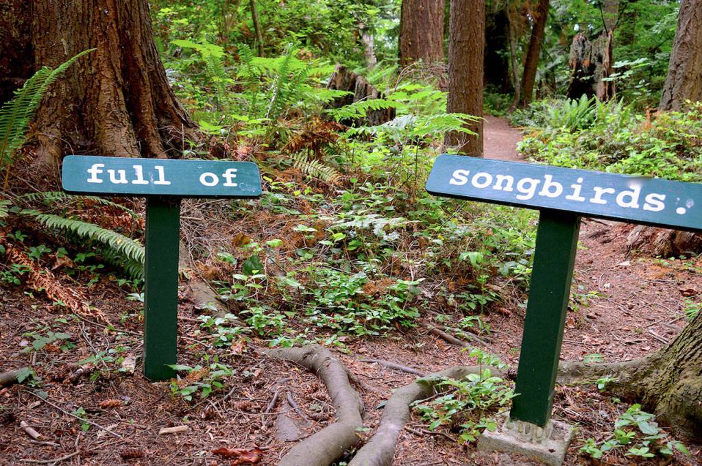 Port Angeles author to launch new book