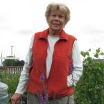 ‘Companion Planting’ lecture set for Thursday