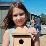 Birdhouse building sessions set at libraries