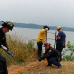 Nonagenarian climbs ladder up cliff to safety after fall