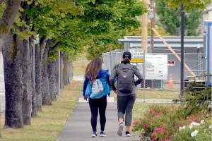 Port Angeles City Council advised on tree policy