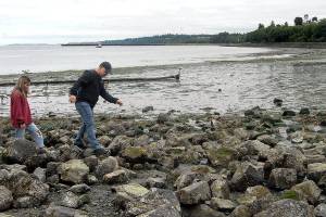 PHOTO: Minus tides in Port Angeles offer opportunity to explore