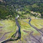 Public meeting set to discuss Duckabush River estuary restoration